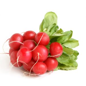 Red Radish